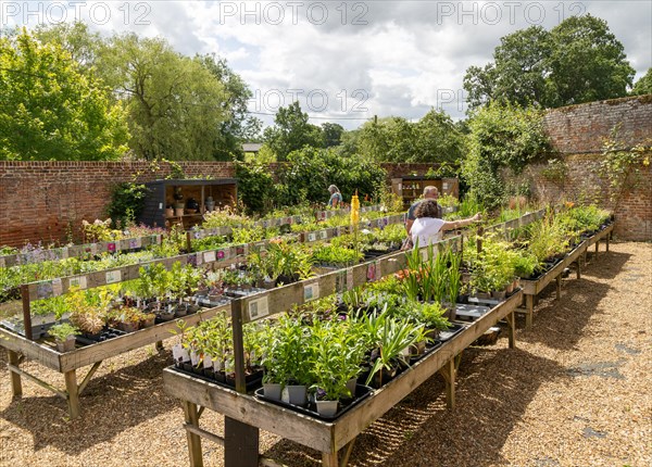 Redisham Hall gardens and plant nursery