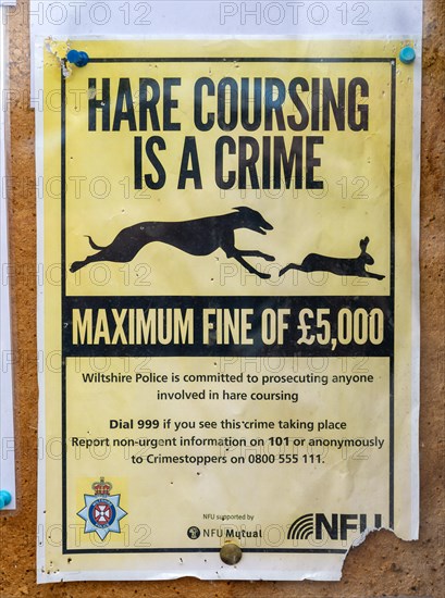 Hare Coursing is a Crime poster on village noticeboard