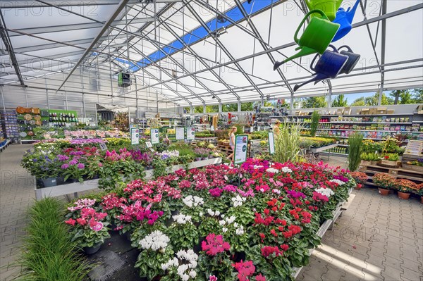 Overview with many flowers in a garden centre