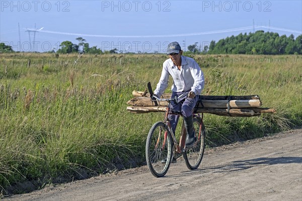 Elderly Argentinean cyclist transporting firewood on his bicycle