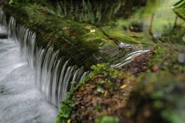 Water flowing through a wooded area on a cold day along the Wild Atlantic way