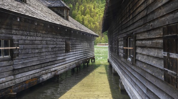 Boat jetty and wooden shed