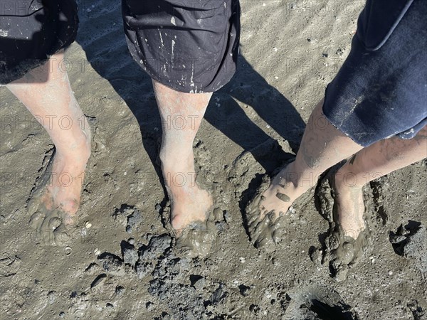 Mudflat walk