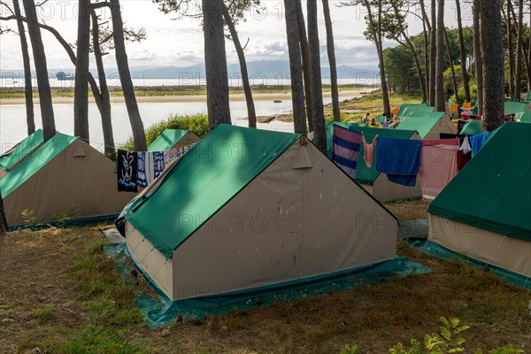 Tents in campsite