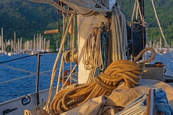 Coiled ropes on board of sailing boat
