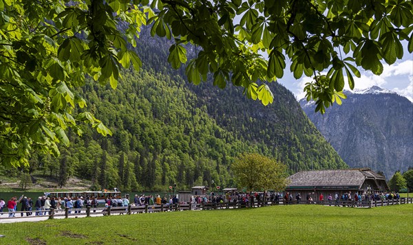 Tourists in a queue at the Sankt Bartholomae jetty