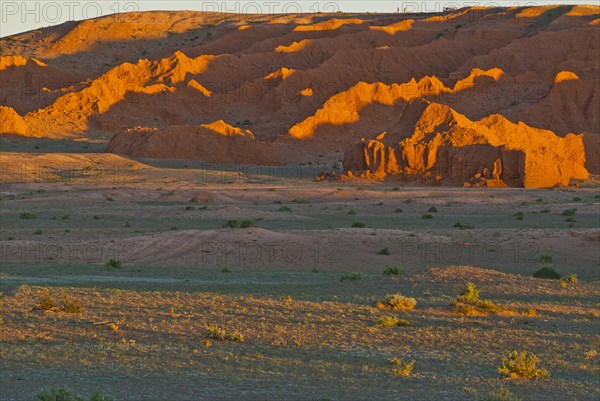 Last evening light on the Flaming Cliffs