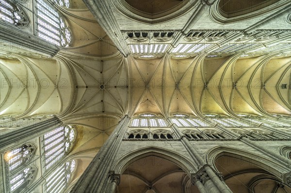 Church ceiling and columns of Notre Dame d'Amiens Cathedral