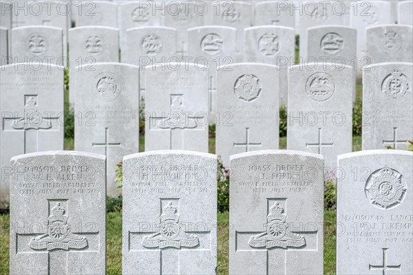 British graves at the Lijssenthoek Military Cemetery