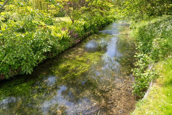 Chalk stream River Avon