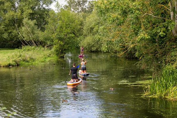 People paddle boarding on River Stour