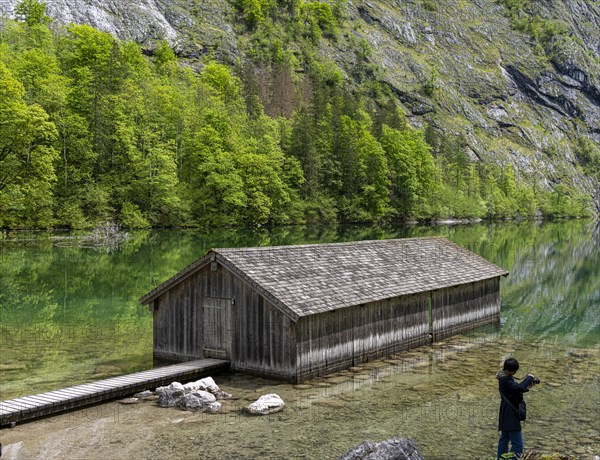 Landscape and nature reserves around the Obersee
