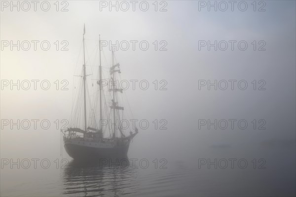 The tall ship