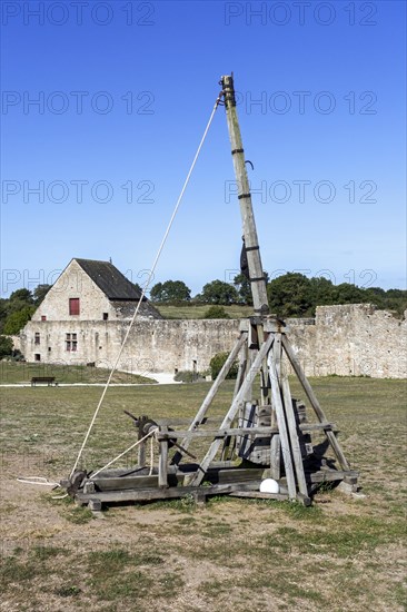 Counterweight trebuchet