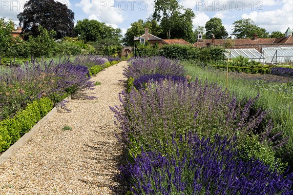 Walled kitchen garden Redisham Hall gardens and plant nursery