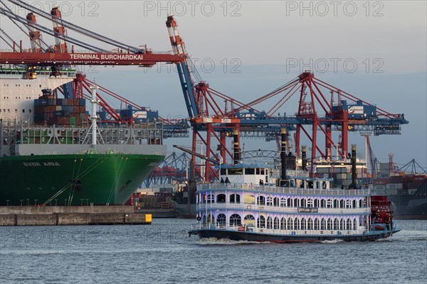 The MS Louisiana Star of the Elbreederei Abicht on a harbour cruise at dusk on the Elbe in front of container ships at the Burchardkai terminal in the Port of Hamburg