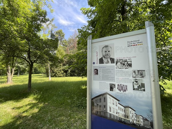 Ringpark around the Old Town