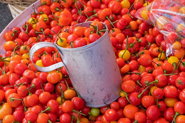 West Indian cherries