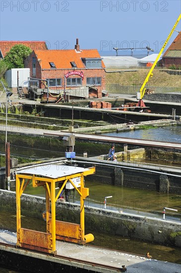 Oyster pits at Yerseke along the Oosterschelde