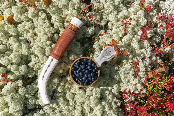 Traditional Sami knife and Scandinavian cup