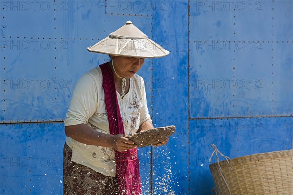 Burmese woman wearing traditional bamboo hat sifting food in village along Inle Lake