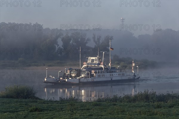 The Elbe ferry Tanja in the early morning mist between Darchau and Neudarchau on the Elbe in the UNESCO Biosphere Reserve Elbe River Landscape. Amt Neuhaus