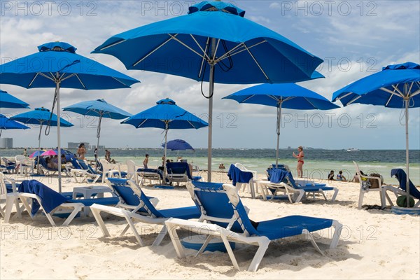 Sun shades and loungers on sandy beach