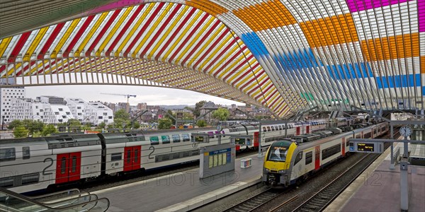 Liege-Guillemins station