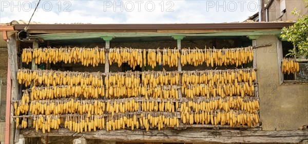 Corn cobs maize hanging out to dry outside a house in village of Cenlle