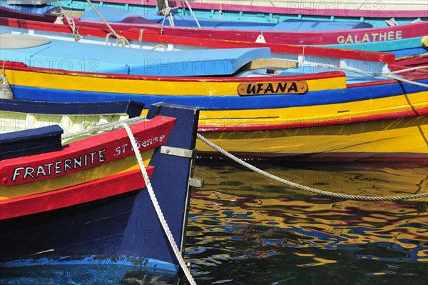 Traditional colourful fishing boats for fishing anchovies in the harbour at Collioure