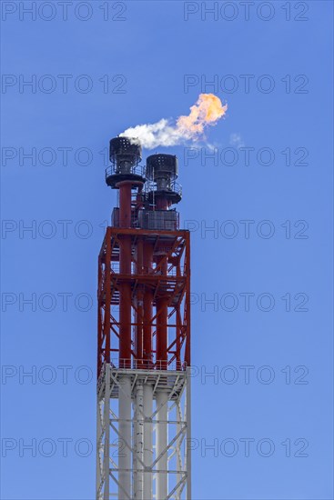 Flare stack