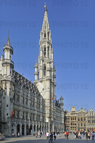 Town hall and medieval guildhalls on the Grand Place at Brussels