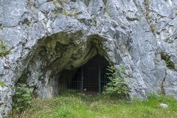 Grottes de Goyet near Mozet