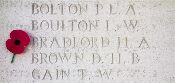 Poppy at the Tyne Cot Memorial to the Missing