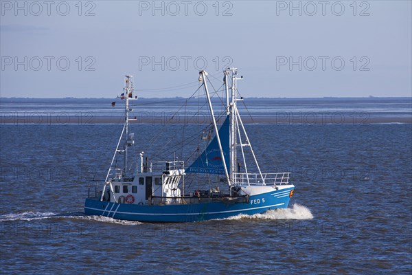 Shrimp boat fishing in the Wadden sea