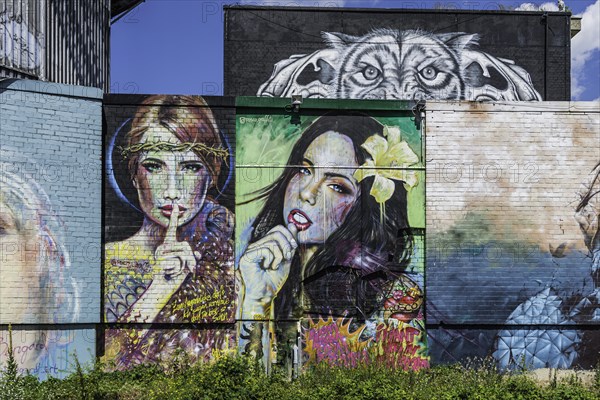 Graffiti on Teufelsberg