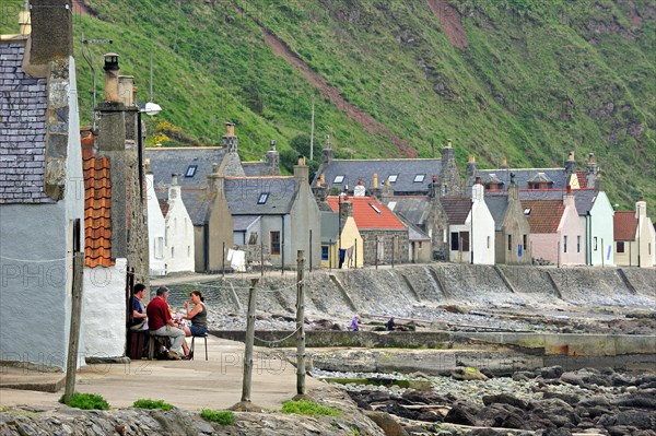 Crovie