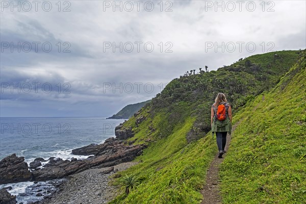 Female walker hiking along the Indian Ocean at Port St. Johns