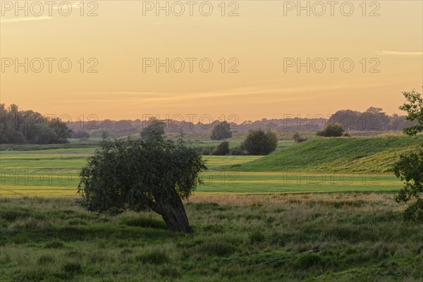 Elbe floodplain near Darchau in the Elbe River Landscape UNESCO Biosphere Reserve. Amt Neuhaus