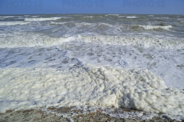 Sea foam