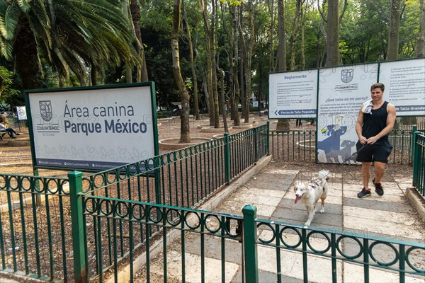 Dog exercising are in city park