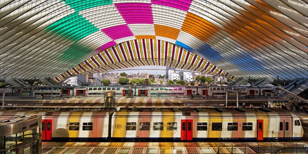 Liege-Guillemins station