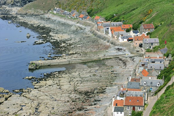 Crovie