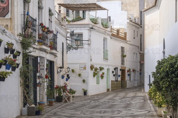 Alley with white houses