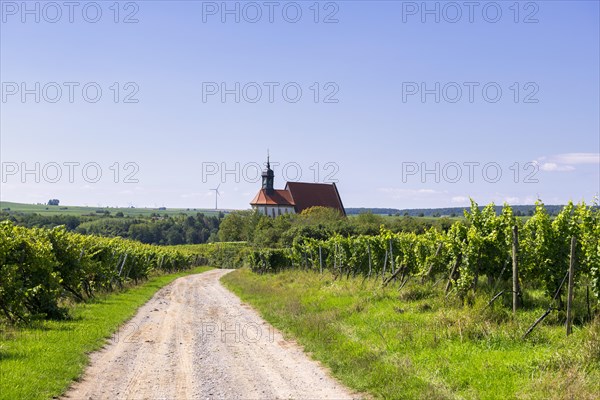 Pilgrimage church Maria im Weingarten