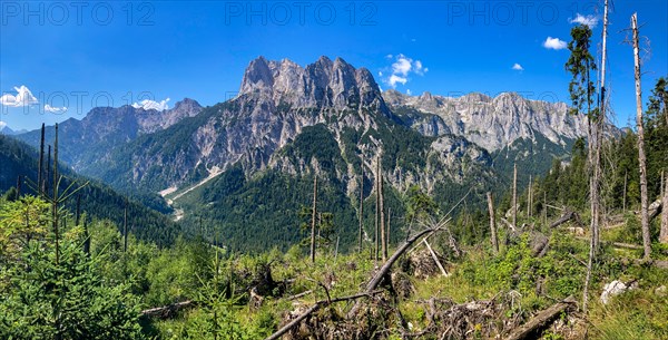 Damage to the forest due to wind breakage in the Berchtesgaden National Park