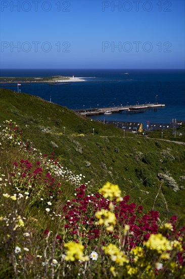 Helgoland with a view of the dune