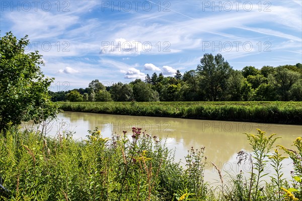 Middle embankment between the Isar and the Isarwerk canal at Gruenwalder Bruecke between Gruenwald and Pullach