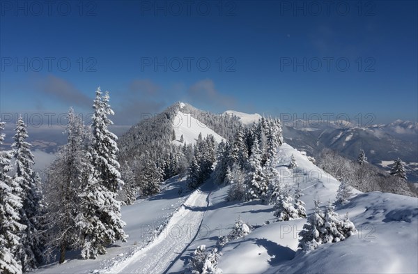 Winter landscape covered in deep snow in the Osterhorn group with a view from Pillstein to Zwoelferhorn