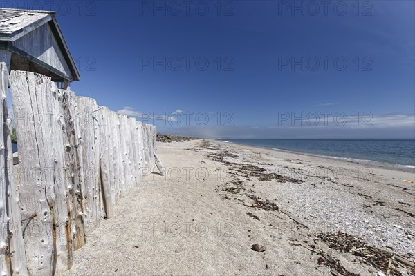 Palisades on a beach